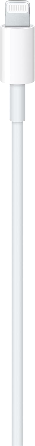 Apple Usb Type-C To Lightning Cable (6.6' / 2 M)