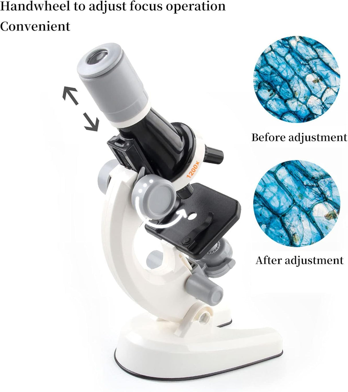 Optical Microscope