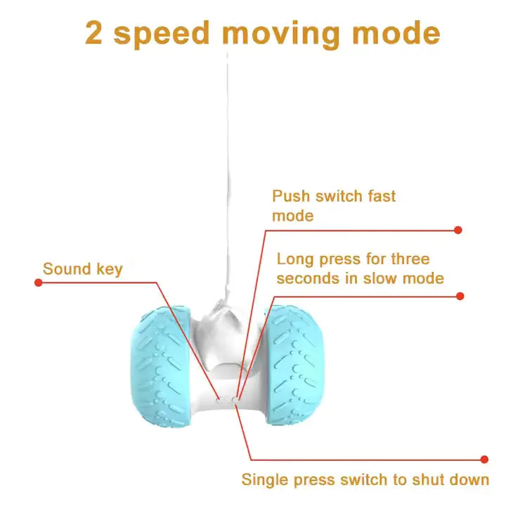 Intelligent Cat Teasing Toy