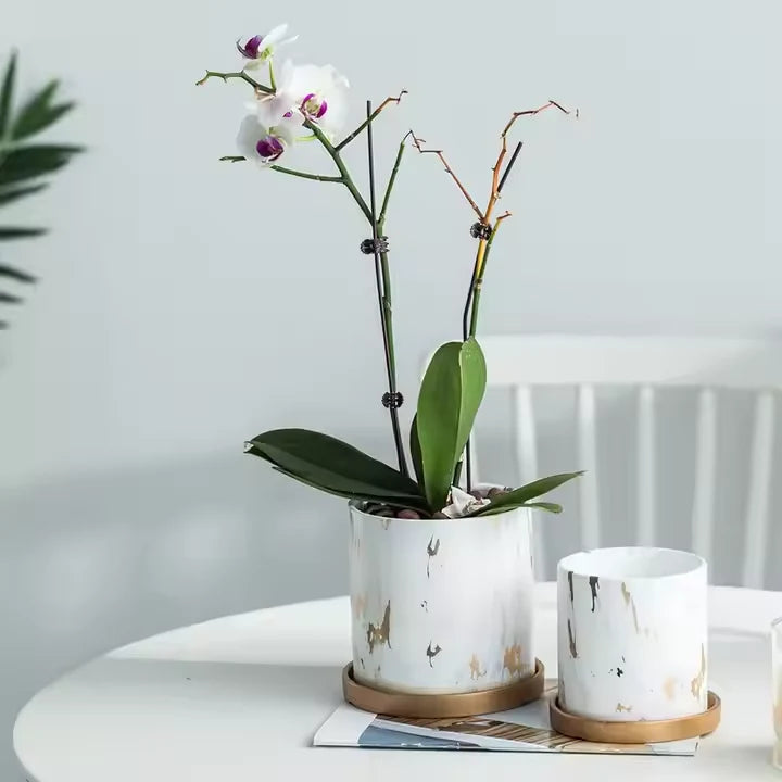 Marble Gold Circular Flower Pot