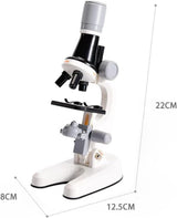 Optical Microscope
