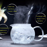 950ml Heat-Resistant Glass Teapot With Ss Infuser and Lid, Stove Top Safe