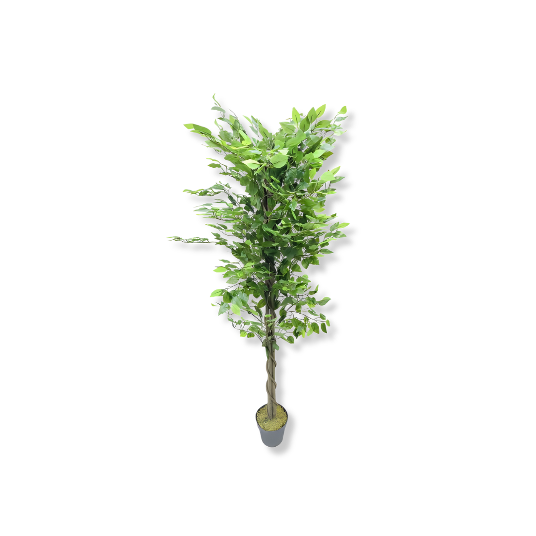 Artificial Ficus Tree