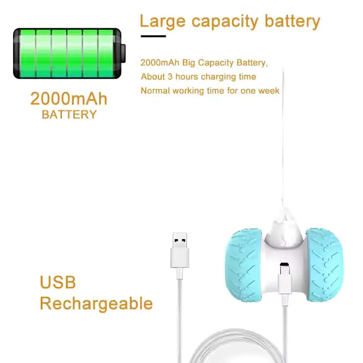 Intelligent Cat Teasing Toy