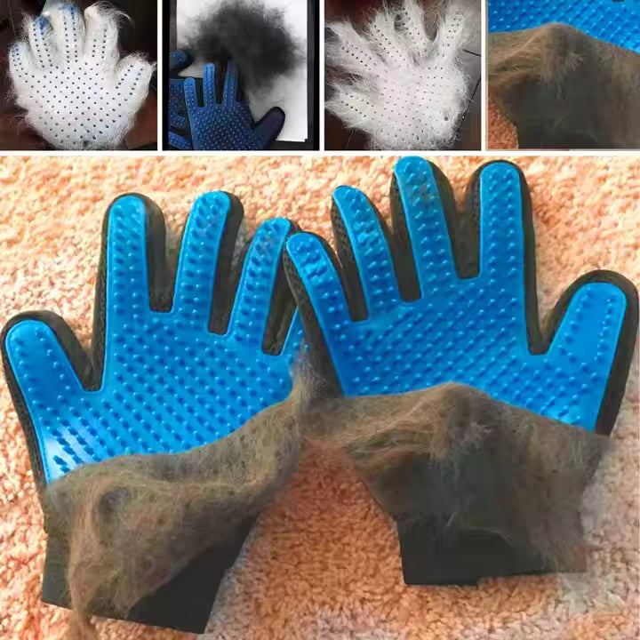 Pet Gloves (One Pair)