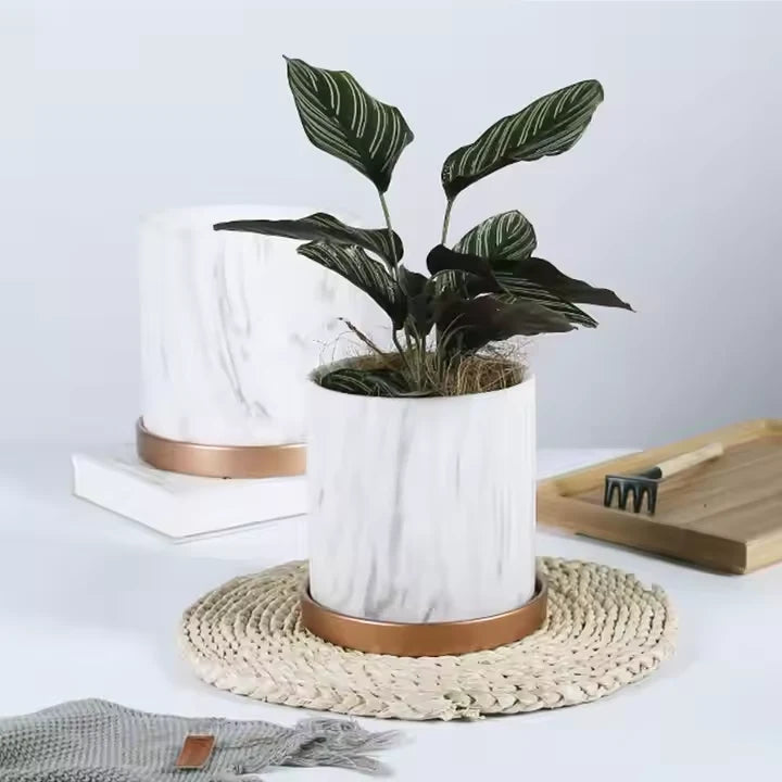 Marble Gold Circular Flower Pot