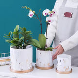 Marble Gold Circular Flower Pot