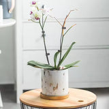 Marble Gold Circular Flower Pot