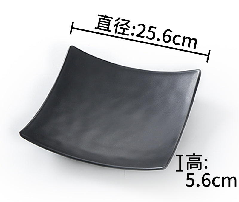 10 Inch Frosted Disc W10Sqrf