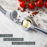 Premium Garlic Press - Gloss Silver